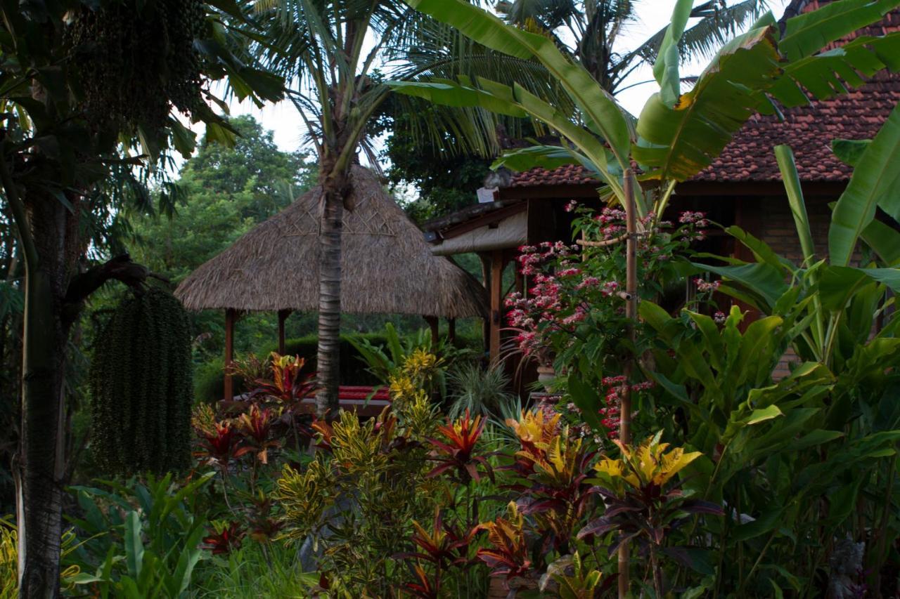 Rumah Sungai Villa Ubud  Exterior photo