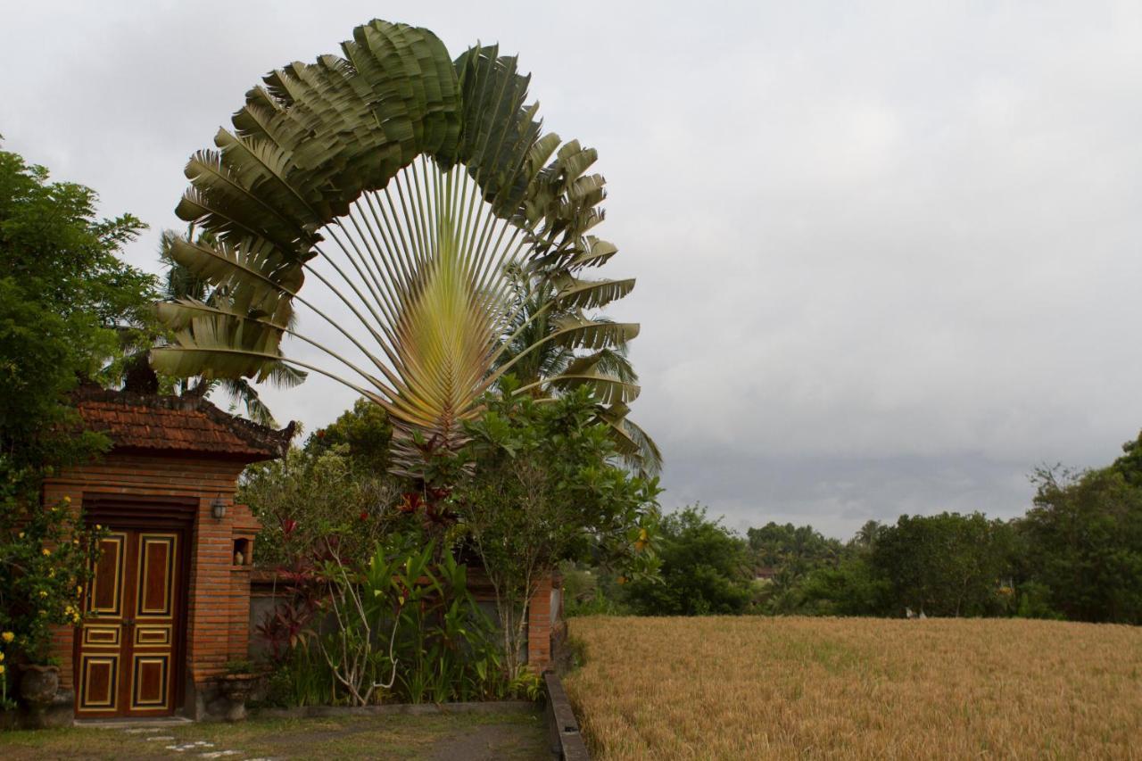 Rumah Sungai Villa Ubud  Exterior photo