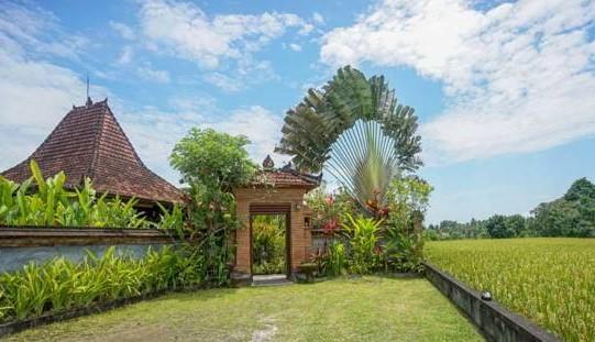 Rumah Sungai Villa Ubud  Exterior photo