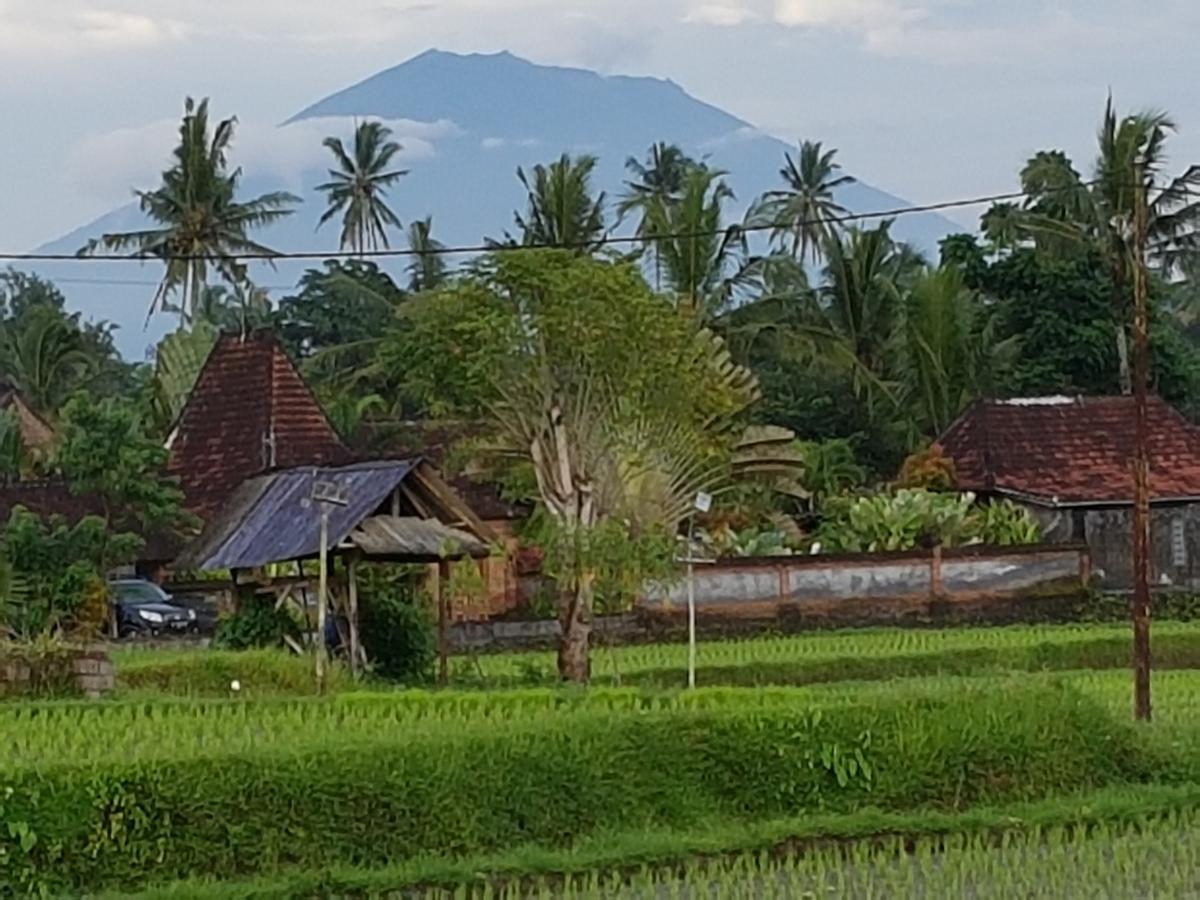 Rumah Sungai Villa Ubud  Exterior photo