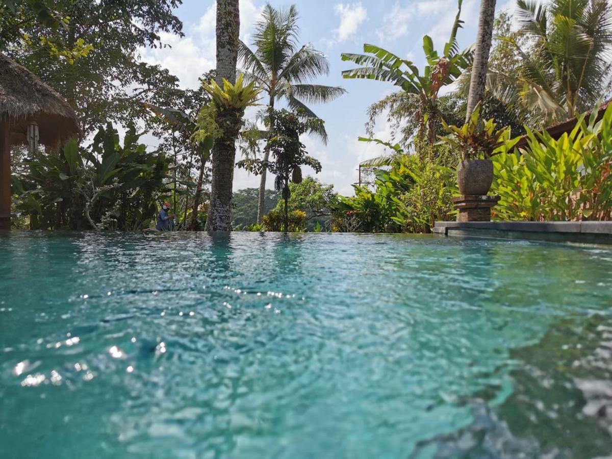 Rumah Sungai Villa Ubud  Exterior photo